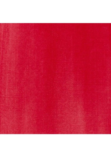 : Professional Akrilik Mürekkep : 30 ml : Naphthol Crimson 292