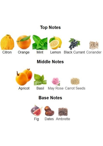 Sueño Pacífico(Pasific Chill Louis V.) Citron, Kayısı, Fesleğen Temalı Fresh-Meyvemsi Koku indirimleri