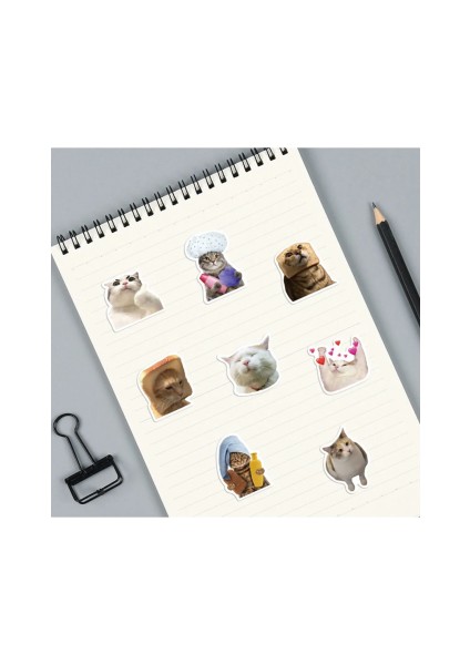 Çılgın Kediler Macbook Notebook Tablet Telefon Ajanda Laptop Defter Sticker Seti