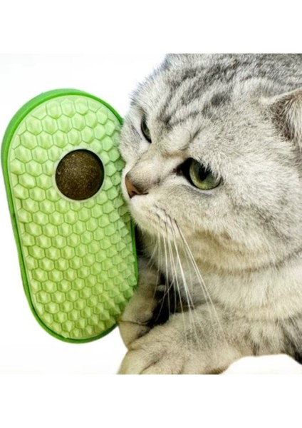 Silikon Kaşıyıcılı Kedi Otu