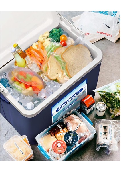 CLB30SET 30 Litre Buzluk + 3 Adet 400GR. Buz Kaseti fiyatları