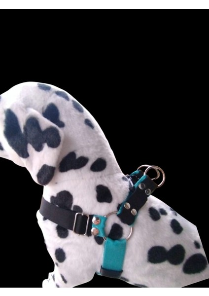 Köpek Göğüs Tasması Orta Irk Kolon Deri Konbinasyonlu Göğüs ÖLÇÜSÜ:50-80Cm Ayarlamalı-Dog Harness Gt4-29