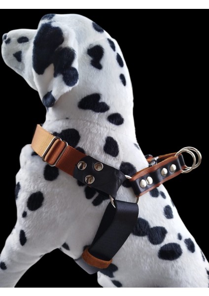 Köpek Göğüs Tasması Orta Irk Özel Dokuma Kolon Deri Konbinasyonlu Genişlik:3cm Göğüs ÖLÇÜSÜ:45-80Cm Ayarlamalı Dog Harness Gt4-30