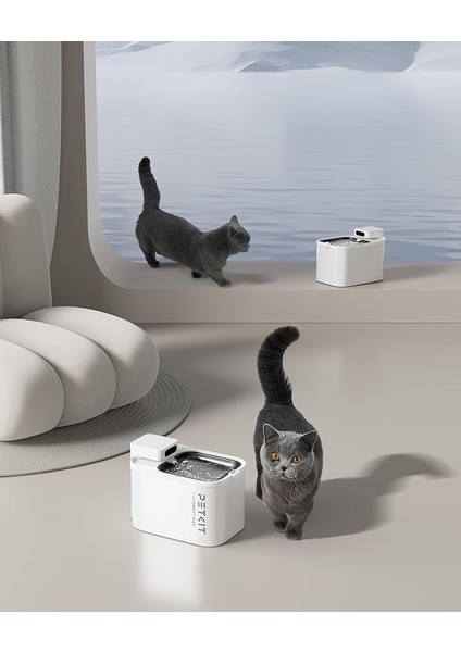 Petkıt Eversweet Max Su Pınarı fiyatları