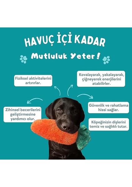 Tombik Havuç Pelüş Köpek Oyuncağı Köpek Diş Geçirme ve Çekiştirme Oyuncağı Köpekler Için Ses Çıkaran Oyuncak