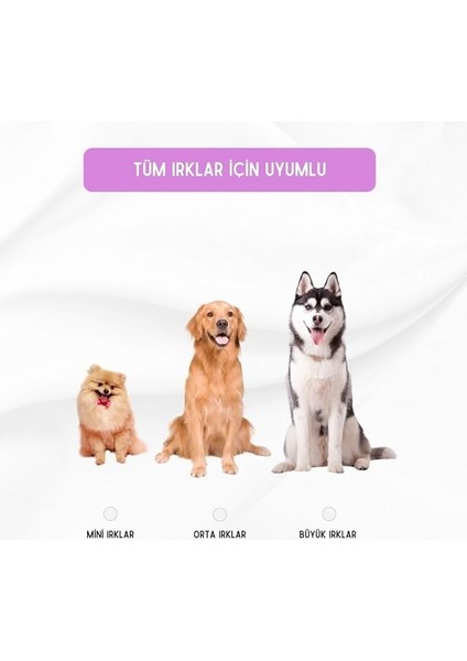 4 Adet Köpek Topu Köpek Oyuncağı Top Köpek Eğitim Oyuncağı - Köpek Oyun Topu