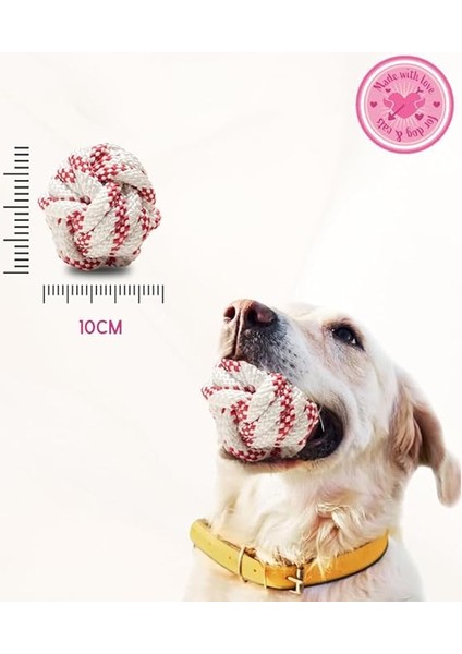 4 Adet Köpek Topu Köpek Oyuncağı Top Köpek Eğitim Oyuncağı - Köpek Oyun Topu