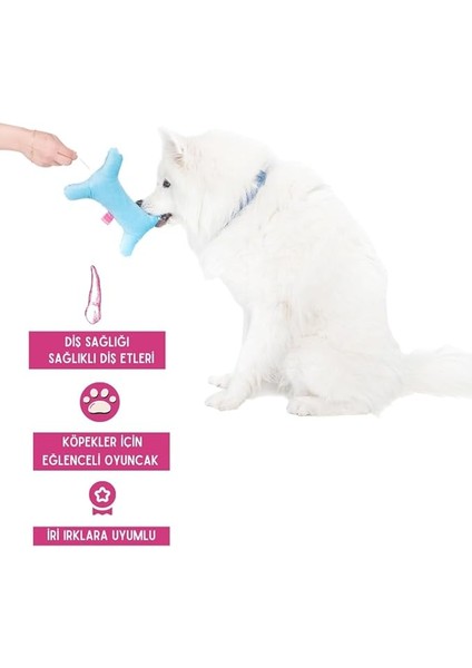 Köpek Oyuncağı Dörtlü Toplu Çekiştirmeli Halat - Şişe Peluş Kemik Köpek Eğitim Oyuncağı - Dörtlü Set indirimleri