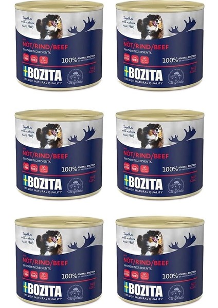 Biftekli Yaş Köpek Maması 625 gr 6 Adet
