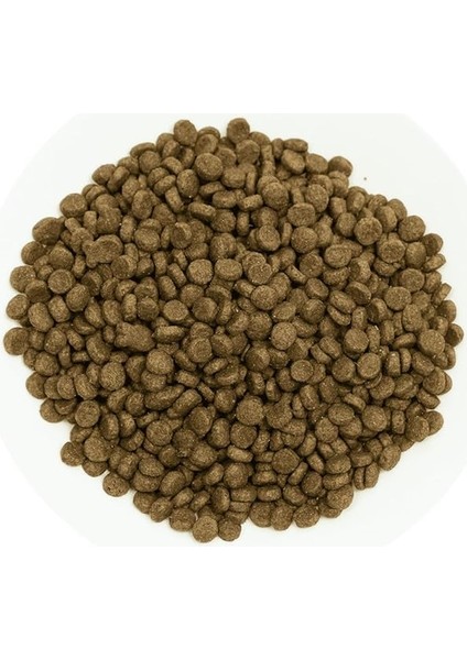 Prochoice Perfect Start, Yavru Köpekler Için, Hipoalerjenik, Kuzu Etli ve Pirinçli Kuru Mama, 12 kg modelleri