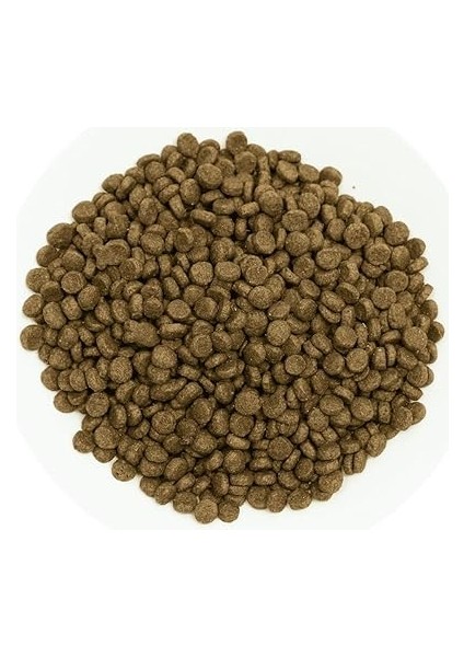 Prochoice Perfect Start, Yavru Köpekler Için, Hipoalerjenik, Kuzu Etli ve Pirinçli Kuru Mama, 12 kg indirimleri