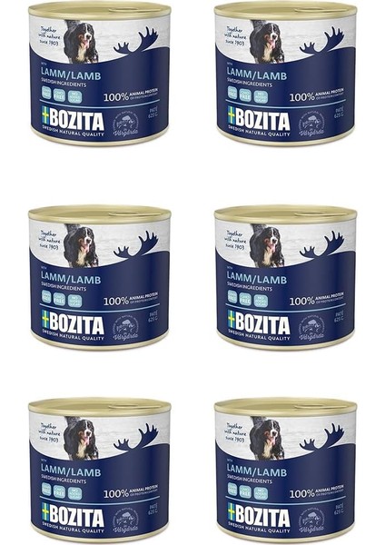 Kuzu Etli Yaş Köpek Maması 625 gr 6 Adet
