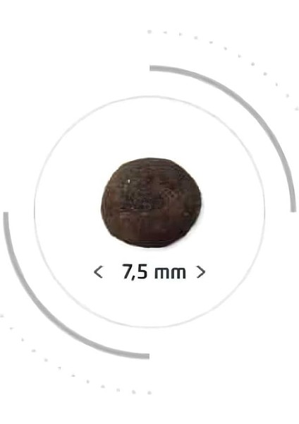 Prestige Kitten Balıklı Yavru Kedi Maması 2kg
