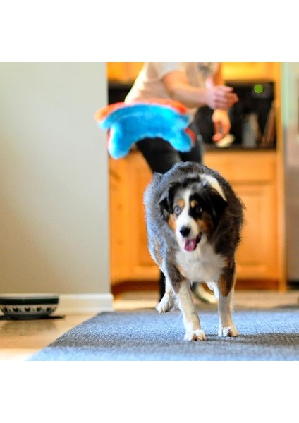 Chuckit! Indoor Fetch Squirrel Dog Toy (9 Inch), Orange And Blue indirimleri
