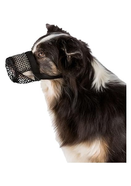 Köpek Ağızlığı, Xl, Siyah fırsatları