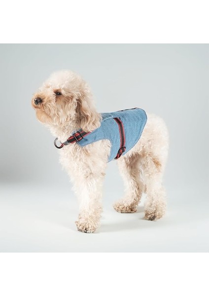 Kaçış Önleyici Kot Köpek Gezdirme Tasması Airtag Cepli (Xl)