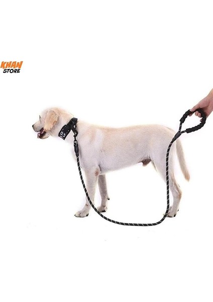 Reflektörlü Köpek Gezdirme Tasması | Orta ve Büyük Boy Köpekler İçin | Siyah