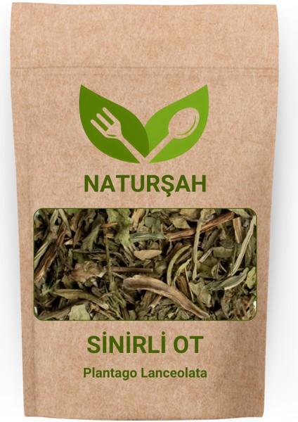 Sinirli Ot (Plantago Lanceolata) 1 kg