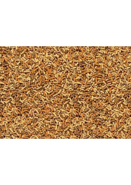 Tetra Yem Pond Variety Sticks 1 Litre