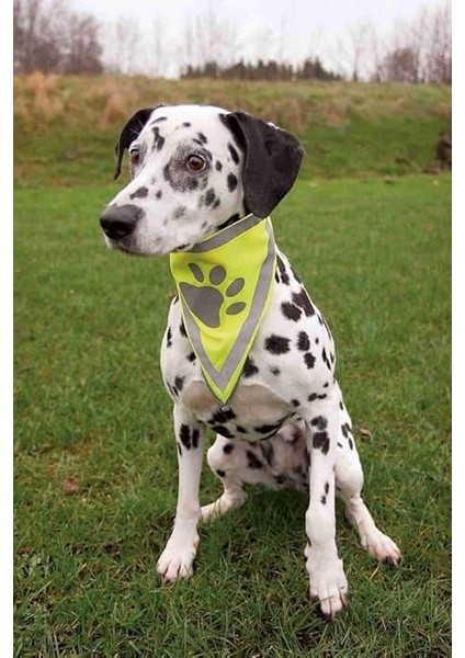 Köpek Bandanası Xs-S 22-28 cm, Sarı fiyatları