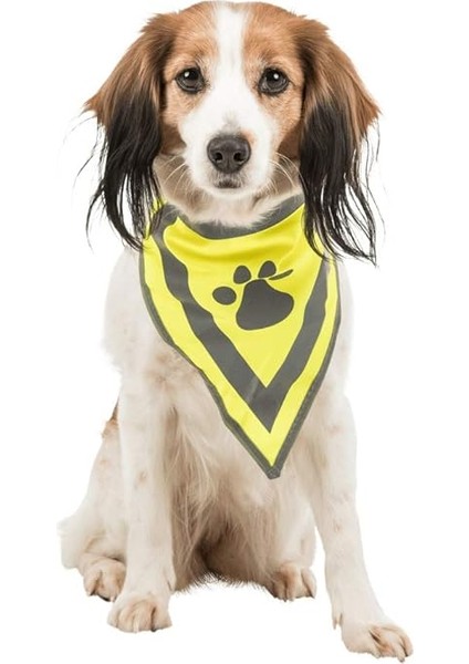Köpek Bandanası Xs-S 22-28 cm, Sarı modelleri