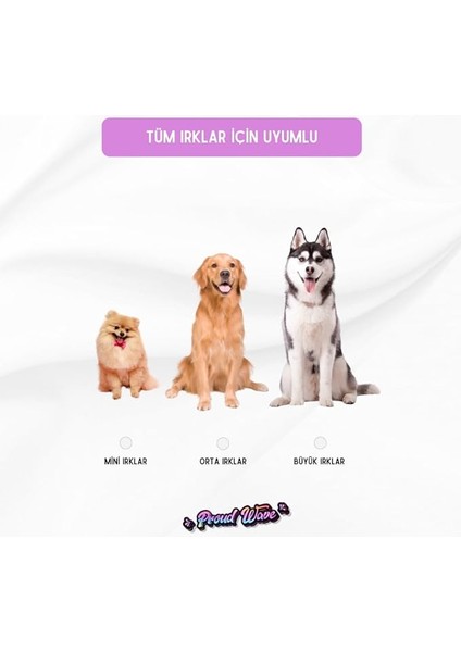 Kemik Peluş Köpek Oyuncağı Çekiştirmeli Diş Kaşıma Diş Sağlığı Büyük Kemik (Mavi)
