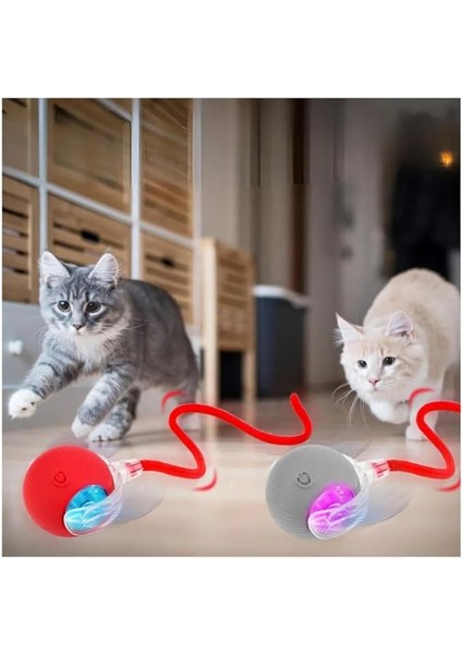 Kedi Oyuncağı Topu Kuyruklu Otomatik Yuvarlanan Top, Hareketli Kuyruk, USB Şarjlı, LED Işıklı, 3 Oyun Modu, Evcil Hayvanlar