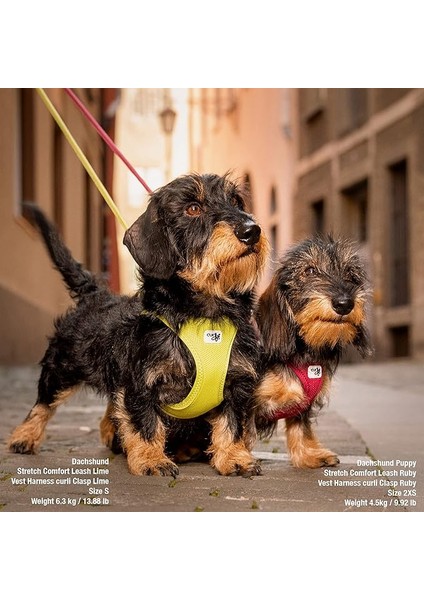 Vest Harness Curli Clasp Air-Mesh Lime S