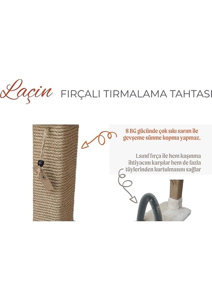 Botaruretim Laçin Fırçalı Tırmalama Tahtası - Krem
