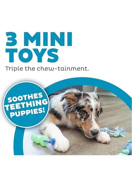 Petstages Orka Mini Dentachew - Köpekler Için Çiğneme Oyuncakları - 3'lü Paket