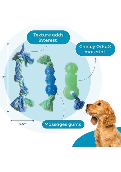 Petstages Orka Mini Dentachew - Köpekler Için Çiğneme Oyuncakları - 3'lü Paket