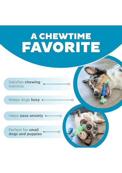 Petstages Orka Mini Dentachew - Köpekler Için Çiğneme Oyuncakları - 3'lü Paket