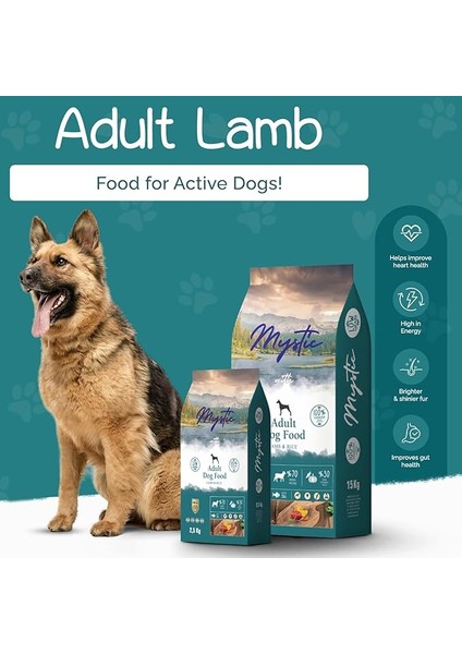 Az Tahıllı Yetişkin Köpek Maması Kuzulu 15 kg fiyatları