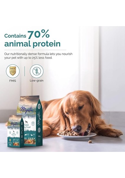 Az Tahıllı Yetişkin Köpek Maması Kuzulu 15 kg indirimleri