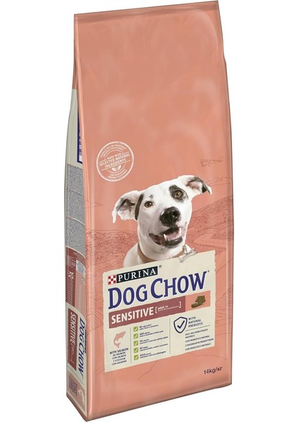 -Purina Somon Balıklı Yetişkin Köpek Maması 14 kg