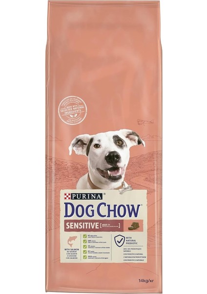 -Purina Somon Balıklı Yetişkin Köpek Maması 14 kg fiyatları