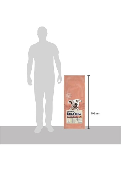 -Purina Somon Balıklı Yetişkin Köpek Maması 14 kg indirimleri