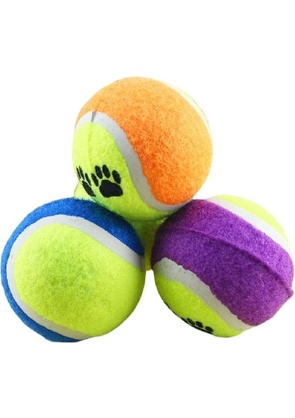 Tenis Topu Köpek Eğitim Oyuncağı - Dayanıklı ve Eğlenceli Köpek Oyun Topu (Tenis, Adet, 4)