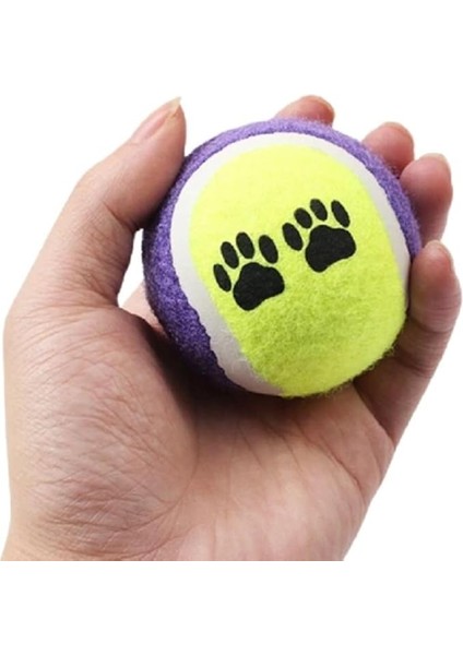 Tenis Topu Köpek Eğitim Oyuncağı - Dayanıklı ve Eğlenceli Köpek Oyun Topu (Tenis, Adet, 4) indirimleri