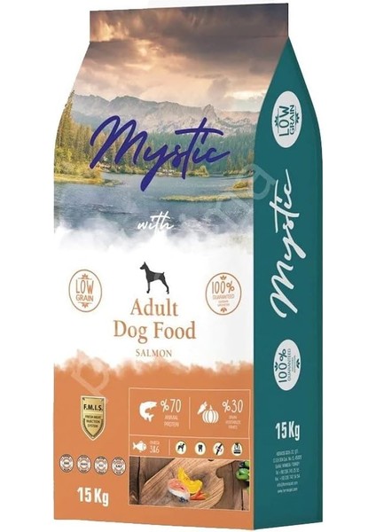 Az Tahıllı Yetişkin Köpek Maması Somonlu 15 kg