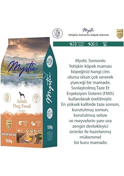 Az Tahıllı Yetişkin Köpek Maması Somonlu 15 kg modelleri