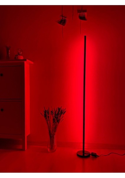 LED Lambader - Dekoratif, Rgb Kumandalı Çok Renkli, Yuvarlak Ayaklı LED Işık - LED Lamba