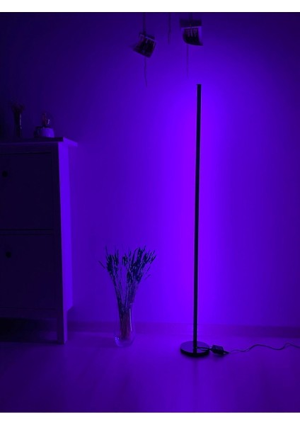 LED Lambader - Dekoratif, Rgb Kumandalı Çok Renkli, Yuvarlak Ayaklı LED Işık - LED Lamba