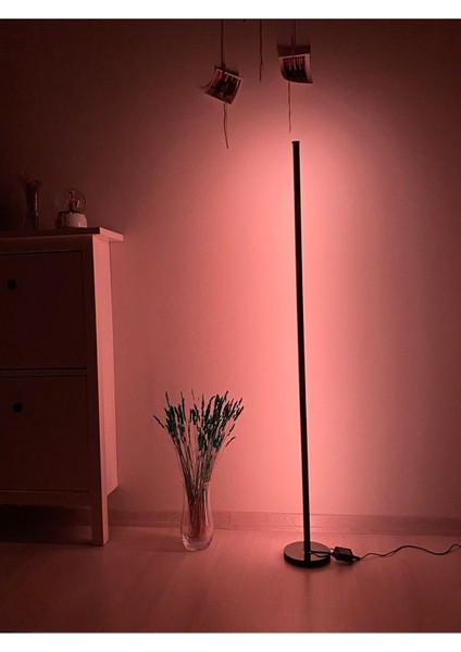 LED Lambader - Dekoratif, Rgb Kumandalı Çok Renkli, Yuvarlak Ayaklı LED Işık - LED Lamba