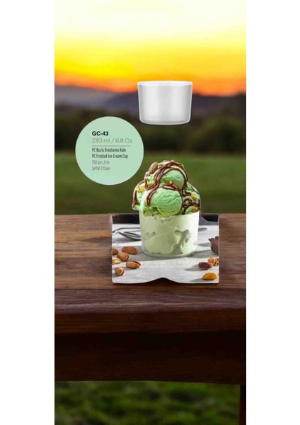 230 ml Kırılmaz , Çizilmez , Buzlu Görünümde Polikarbon Plastik Dondurma Kasesi