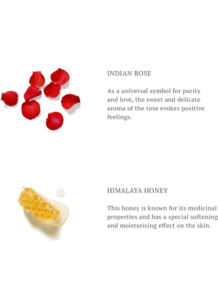 The Ritual Of Ayurveda Koku Çubukları