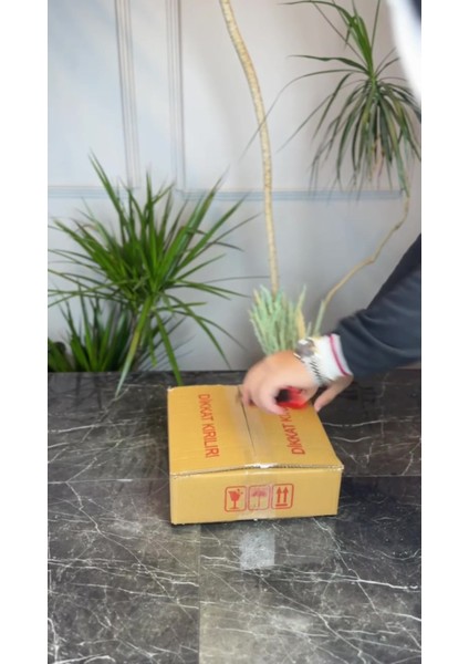 Luxury Porselen Derin Salata Kasesi & Büyük Boy Sunum Servis Kasesi 24 cm 1 Adet