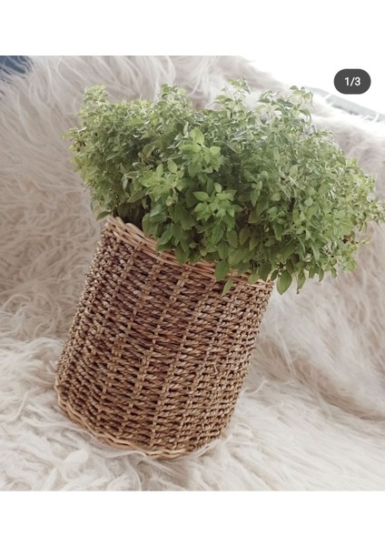 Luxury Hasır Bambu Rattan Saksı , Kaşıklık , Organizer Sepet 1 Adet