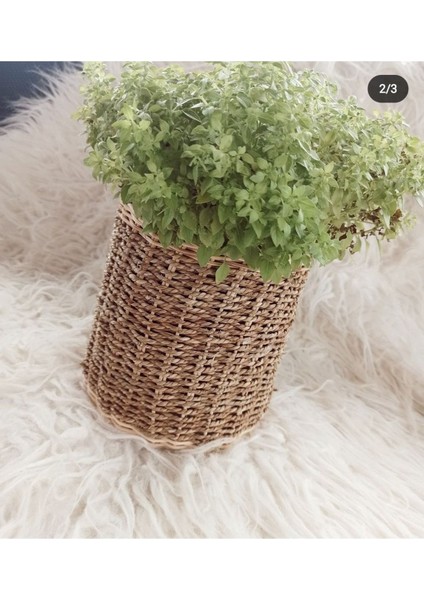 Luxury Hasır Bambu Rattan Saksı , Kaşıklık , Organizer Sepet 1 Adet