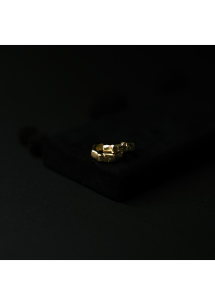 925 Ayar Gümüş Beşgen Gold Kaplama Küpe fiyatları